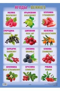 А2 Плакат. Ягоды / Berries