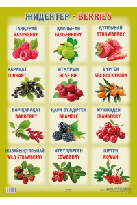 А2 Плакат. Жидектер / Berries. 70 х 50 см