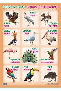 А2 Плакат. ӘЛЕМ ҚҰСТАРЫ / BIRDS OF THE WORLD 70 х 50 см