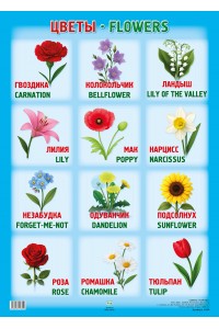 А2 Плакат. ЦВЕТЫ / FLOWERS
