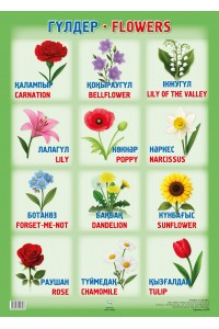 А2 Плакат. ГҮЛДЕР / FLOWERS