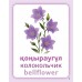 Дидактикалық карточкалар / Дидактические карточки. ГҮЛДЕР / ЦВЕТЫ / FLOWERS