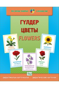 Дидактикалық карточкалар / Дидактические карточки. ГҮЛДЕР / ЦВЕТЫ / FLOWERS