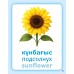 Дидактикалық карточкалар / Дидактические карточки. ГҮЛДЕР / ЦВЕТЫ / FLOWERS