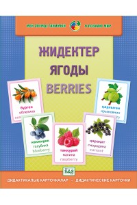 Дидактикалық карточкалар / Дидактические карточки. Жидектер. Ягоды. Berries 