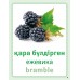 Дидактикалық карточкалар / Дидактические карточки. Жидектер. Ягоды. Berries 