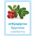 Дидактикалық карточкалар / Дидактические карточки. Жидектер. Ягоды. Berries 
