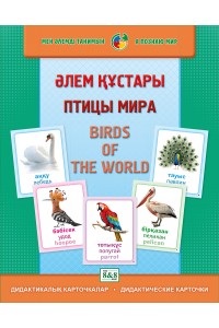 Дидактикалық карточкалар / Дидактические карточки. Әлем құстары. Птицы мира. Birds of the world