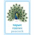 Дидактикалық карточкалар / Дидактические карточки. Әлем құстары. Птицы мира. Birds of the world