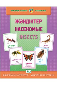 Дидактикалық карточкалар / Дидактические карточки. Жәндіктер. Насекомые. Insects