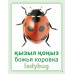 Дидактикалық карточкалар / Дидактические карточки. Жәндіктер. Насекомые. Insects