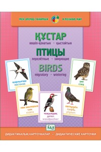Дидактикалық карточкалар / Дидактические карточки. Құстар (көші-қон, қыстау). Птицы (перелётные, зимующие). Birds (migratory, wintering)