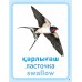 Дидактикалық карточкалар / Дидактические карточки. Құстар (көші-қон, қыстау). Птицы (перелётные, зимующие). Birds (migratory, wintering)