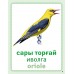 Дидактикалық карточкалар / Дидактические карточки. Құстар (көші-қон, қыстау). Птицы (перелётные, зимующие). Birds (migratory, wintering)