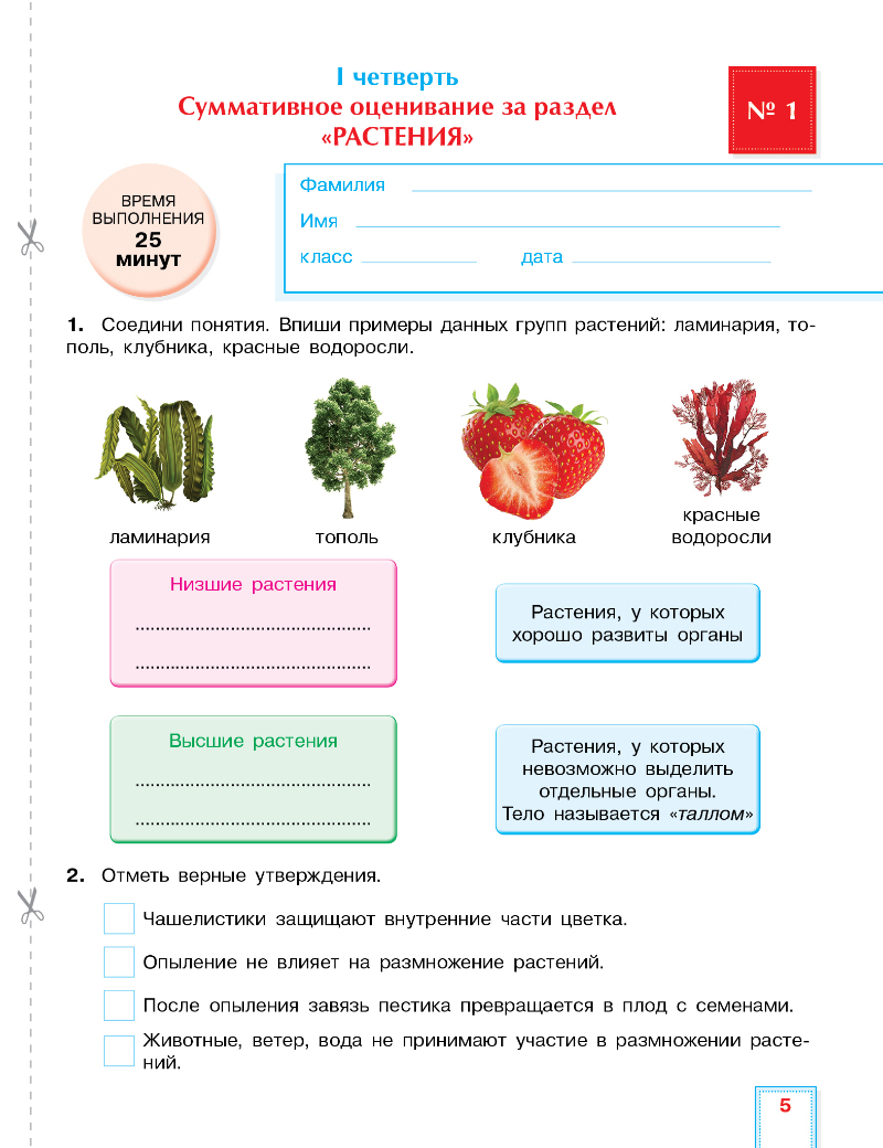 Суммативное оценивание за 1 четверть. Суммативное оценивание растения по биологии. Суммативное оценивание растения по биологии 8 класс. Суммативное оценивание по познанию мира 4 класс 2 четверть.