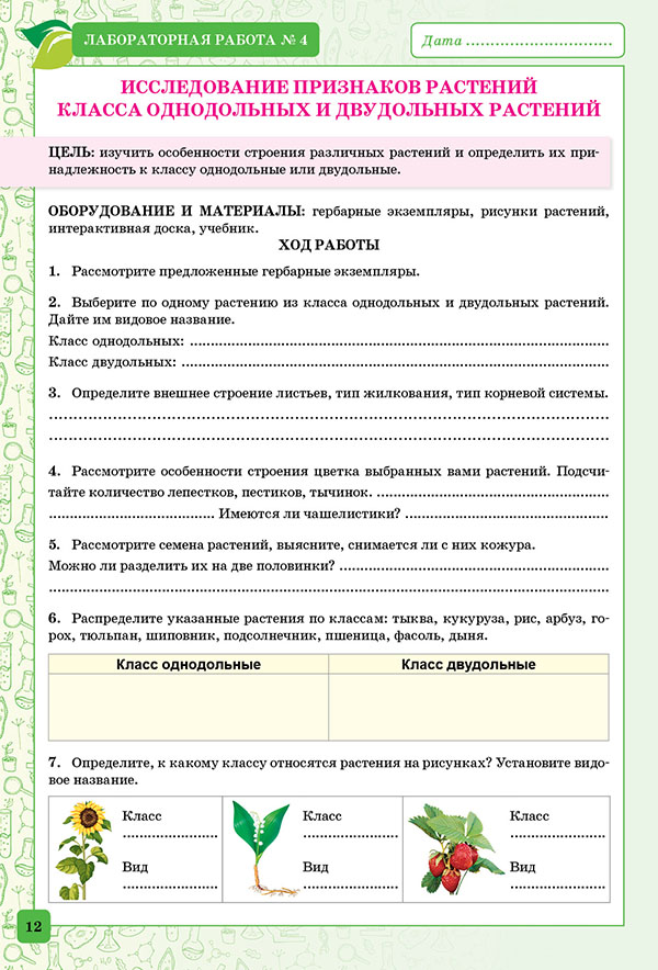 Лабораторная по биологии. Лабораторная работа по биологии измерение объектов. Лабораторная работа измерение объектов 5 класс биология. Измерение объектов лабораторная работа 5.