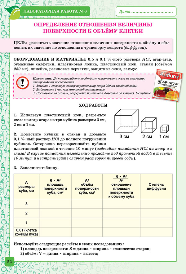 Лабораторная по биологии 10 класс