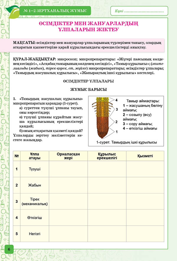 Биология сынып. 7 Сынып биология 2 моделдеу.