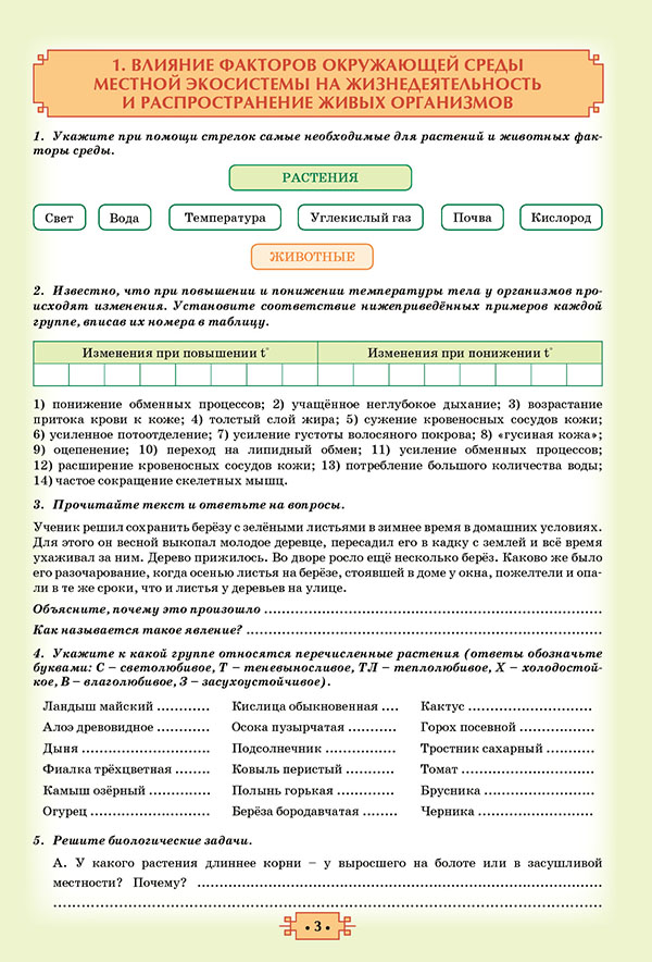 Рабочая тетрадь индивидуального проекта 10 класс